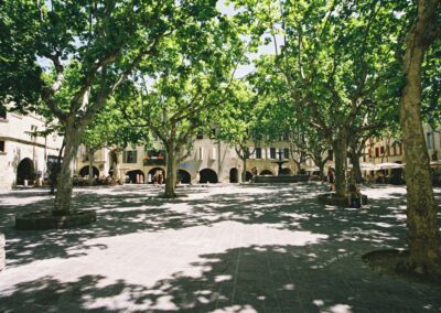 Place aux fleurs Uzès