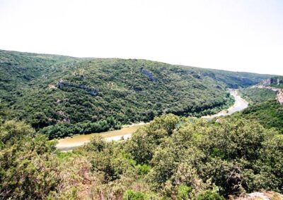 Vallée verdoyante aux portes d'Uzès