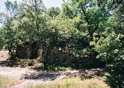 Forêt proche Uzès