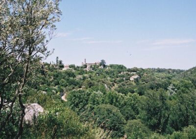 Uzès depuis la Garrigue