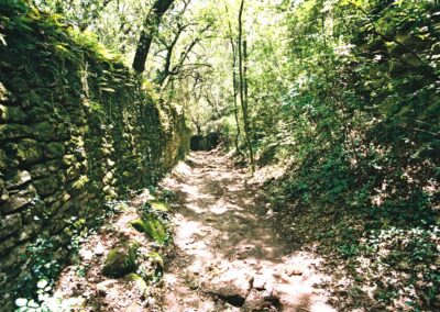 Randonnée vallée de l'Alzon