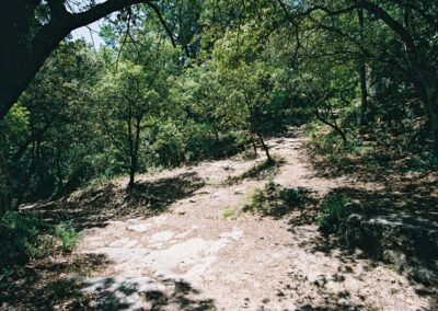 Parc arboré Uzès